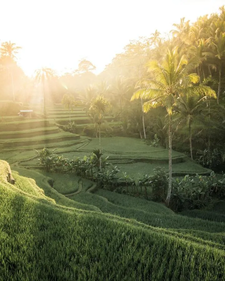 Promo! Luxury Villa Escape In Ubud 2 Br