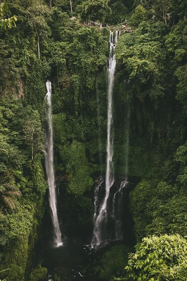 Promo! Luxury Villa Escape In Ubud 2 Br Ubud (Bali)